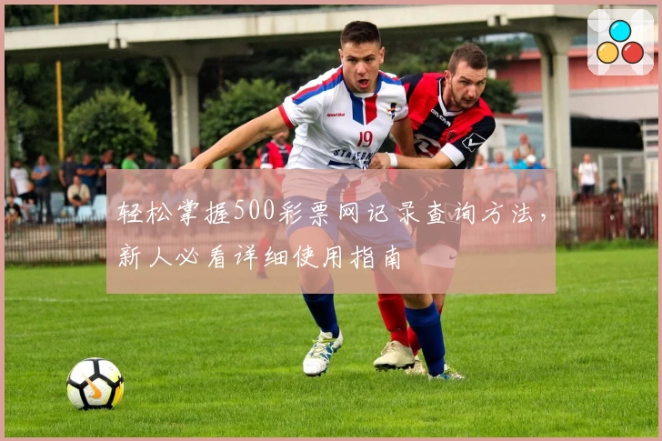 轻松掌握500彩票网记录查询方法，新人必看详细使用指南
