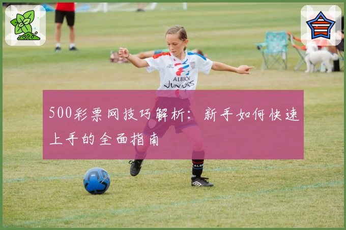 500彩票网技巧解析：新手如何快速上手的全面指南