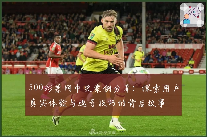 500彩票网中奖案例分享：探索用户真实体验与选号技巧的背后故事