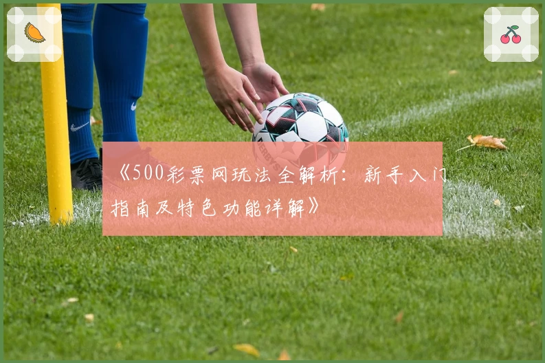 《500彩票网玩法全解析：新手入门指南及特色功能详解》