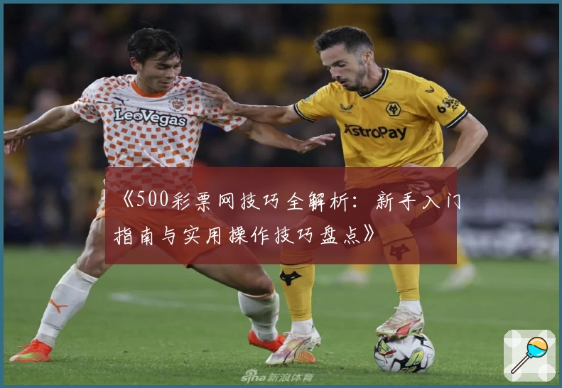 《500彩票网技巧全解析：新手入门指南与实用操作技巧盘点》